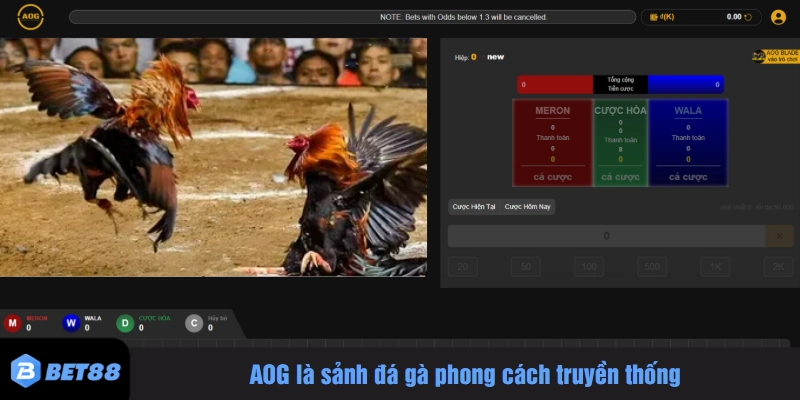 AOG là sảnh đá gà phong cách truyền thống