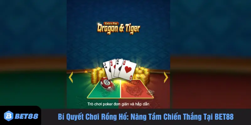 Bí quyết chơi Rồng Hổ