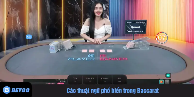 Các thuật ngữ phổ biến trong Baccarat