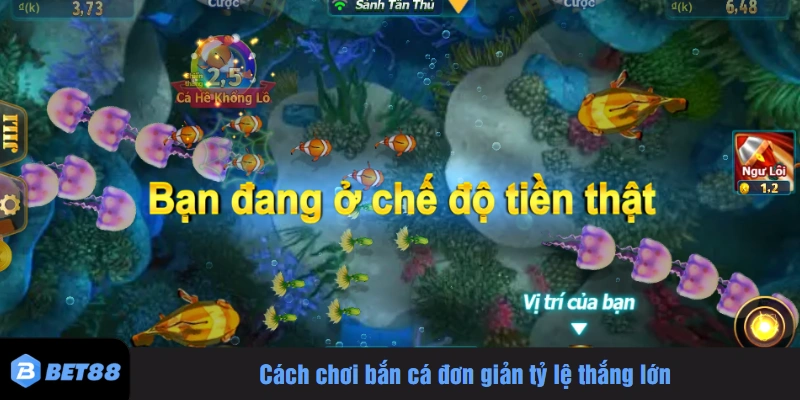 Cách chơi bắn cá đơn giản tỷ lệ thắng lớn