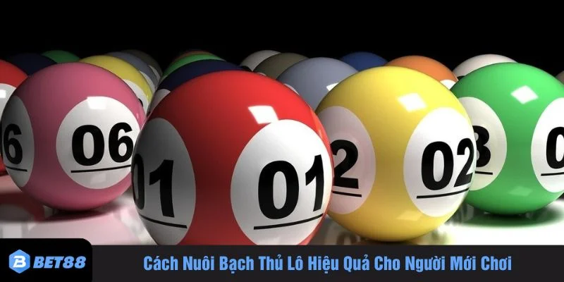 Cách nuôi bạch thủ lô