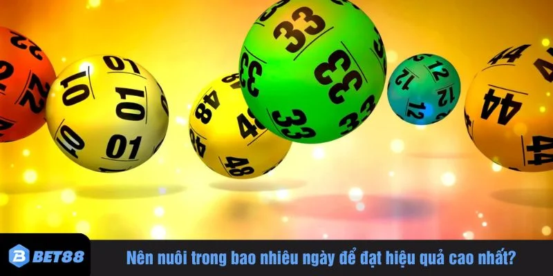 Cần tính toán thời gian nuôi khi xây dựng cách nuôi bạch thủ lô