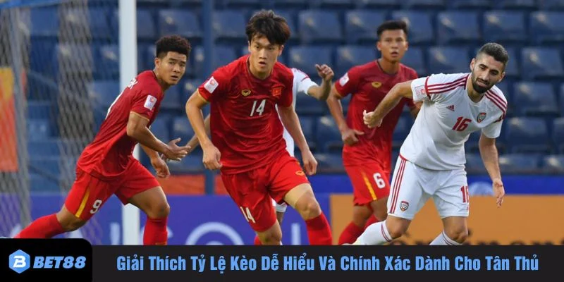 Giải thích tỷ lệ kèo