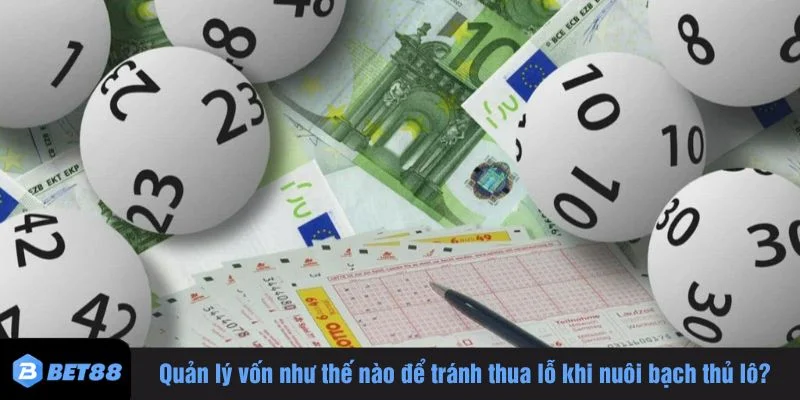 Quản lý vốn là yếu tố cực kỳ quan trọng trong cách nuôi bạch thủ lô