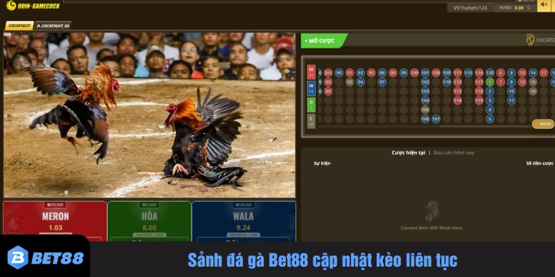 Sảnh đá gà Bet88 cập nhật kèo liên tục